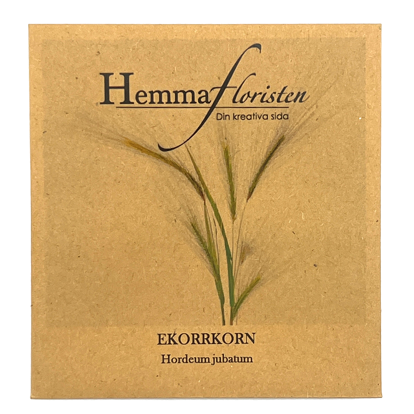Ekorrkorn