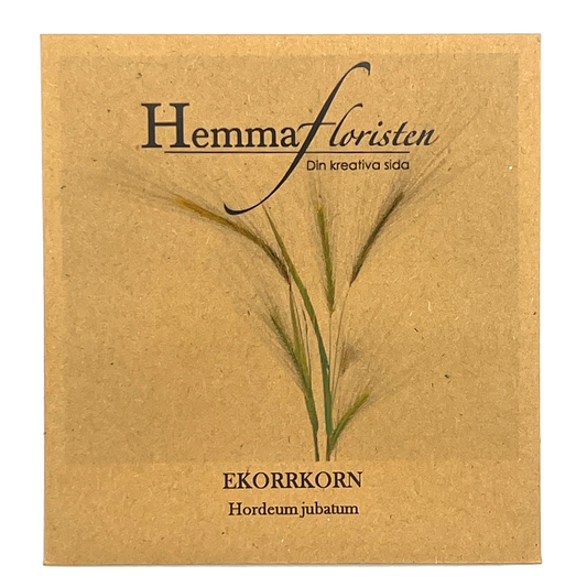 Egernhalebyg
