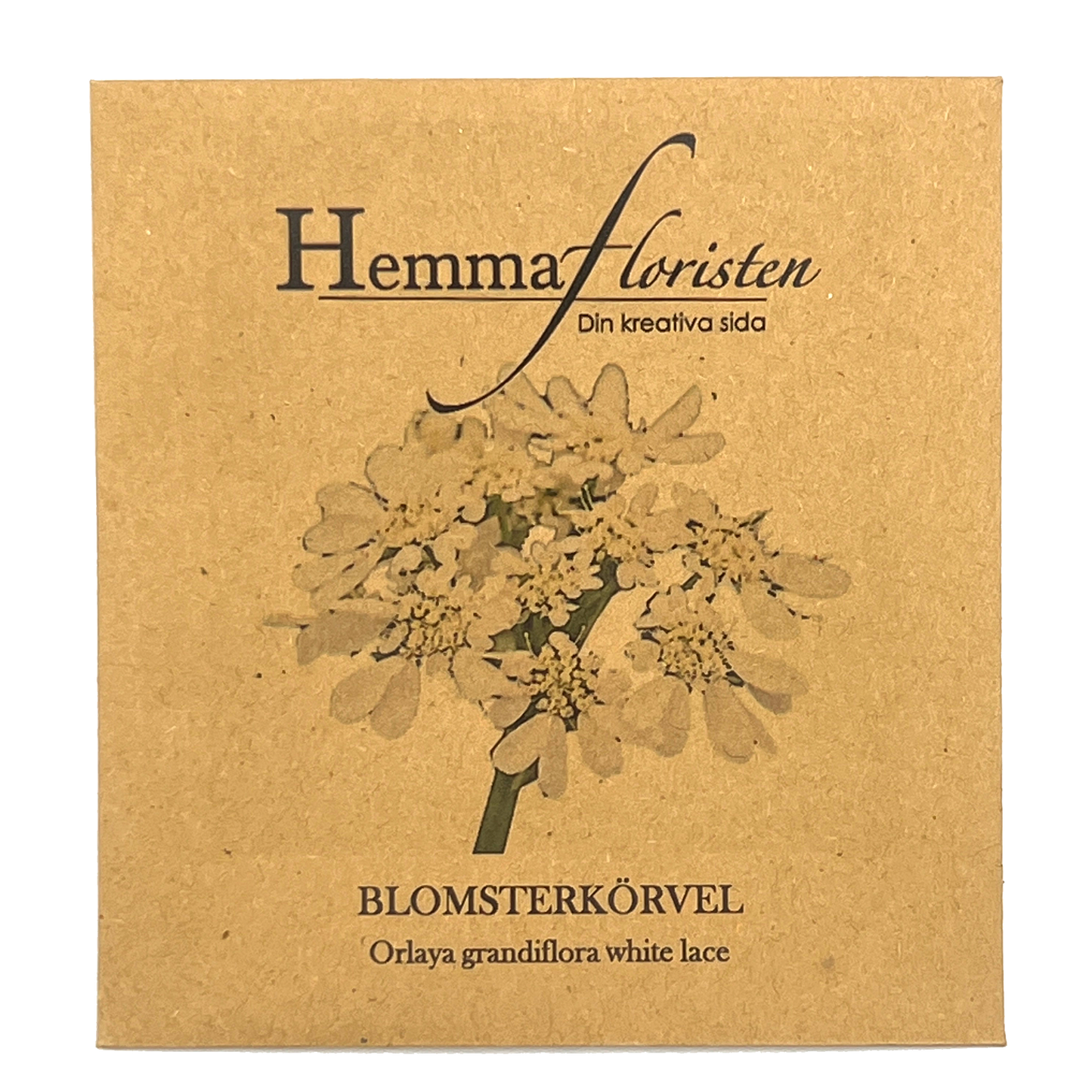 Blomsterkörvel - Orlaya grandiflora white lace