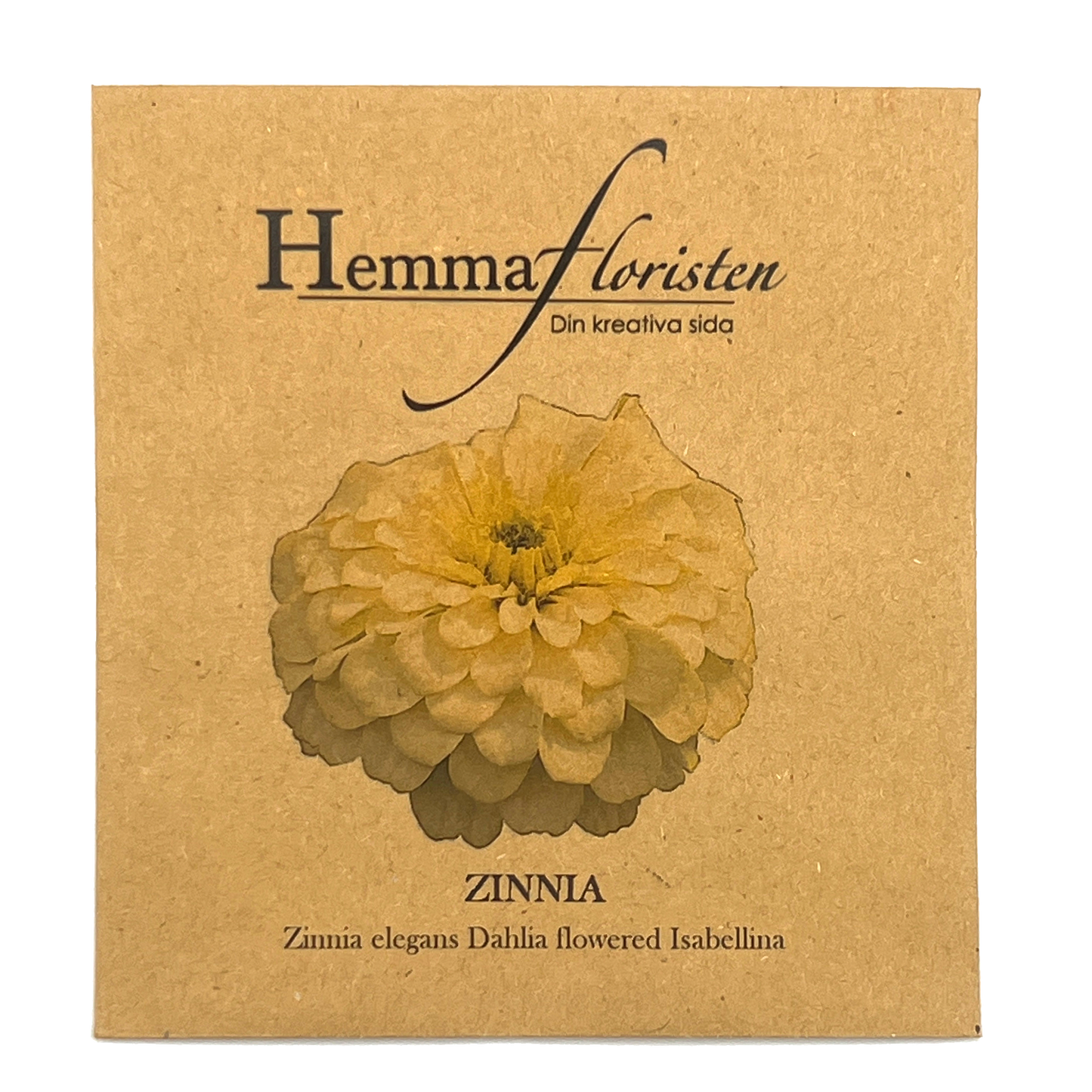 Zinnia - Dahlia flowered Isabellina