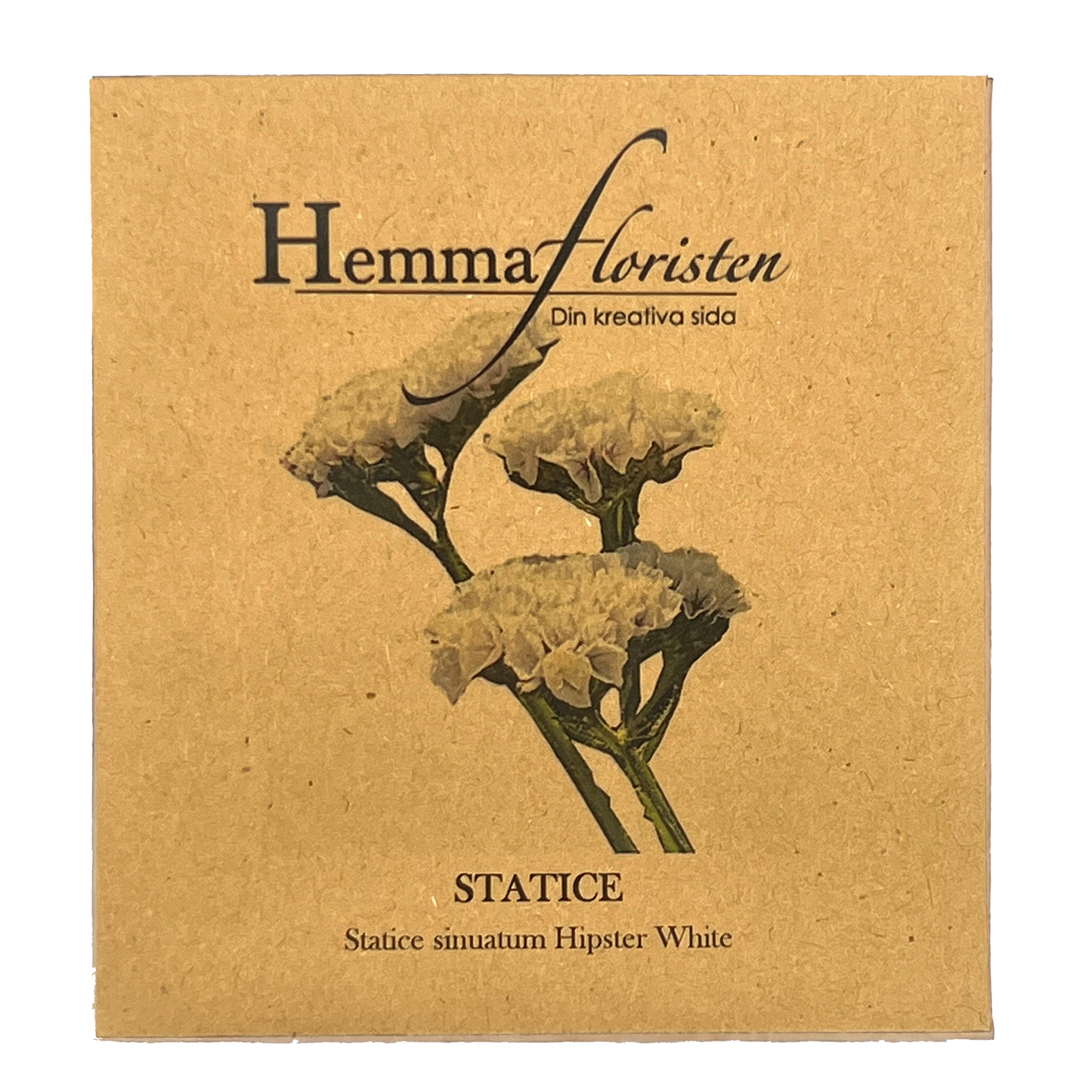 Statice Hipster White