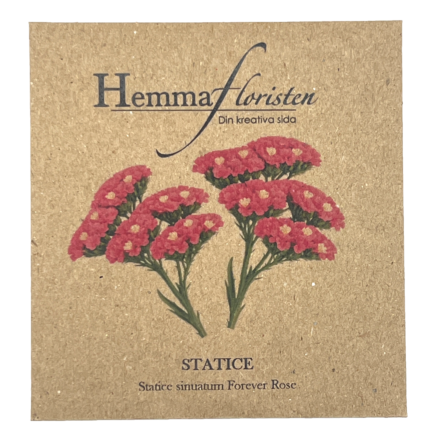 Statice - Forever Rose