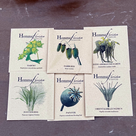 Fröbox Grönt är skönt