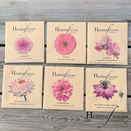 Fröbox Ljuvligt rosa