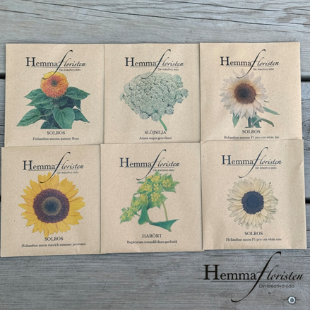 Fröbox Soliga solros