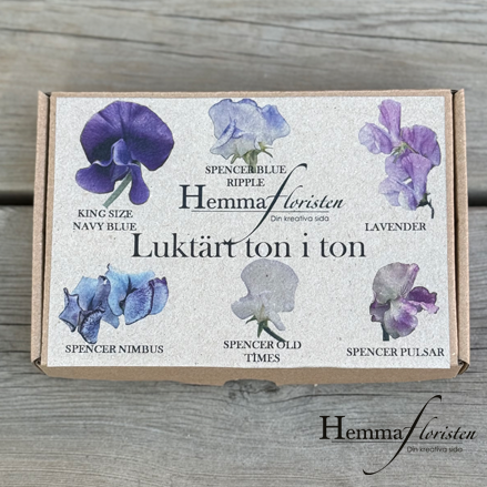 Fröbox Luktärt ton i ton