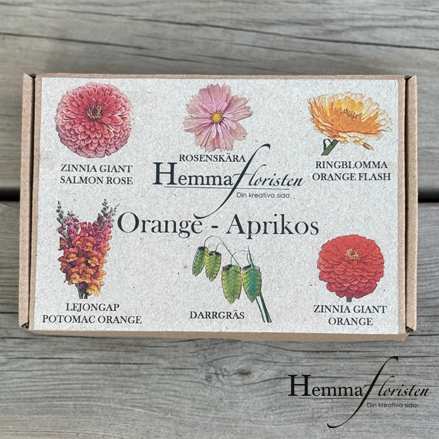 Fröbox Orange - Aprikos