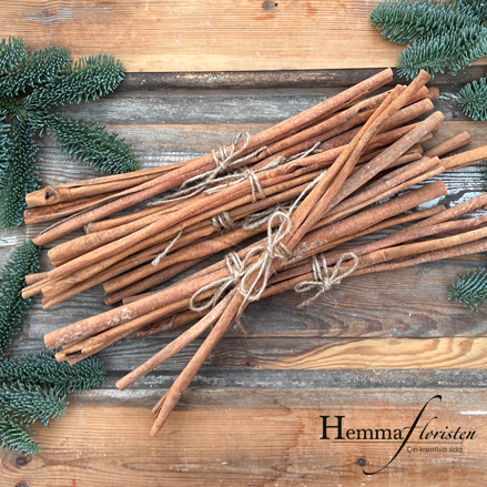 Kanelstång 40 cm 3-pack