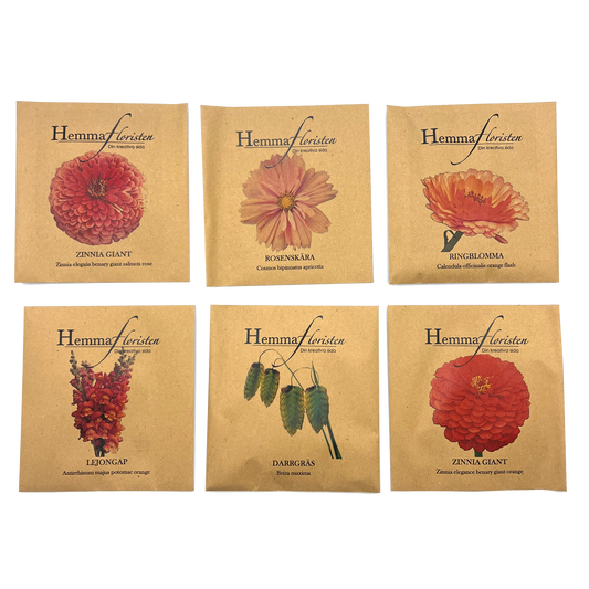 Fröbox Orange - Aprikos