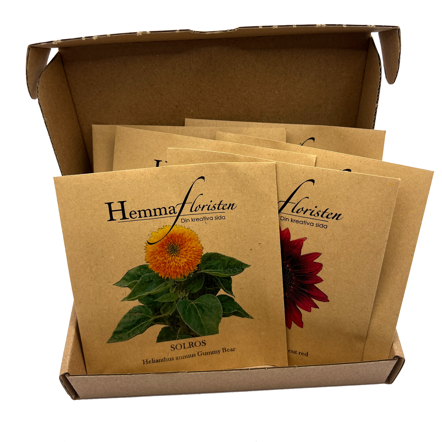 Fröbox Soliga solros