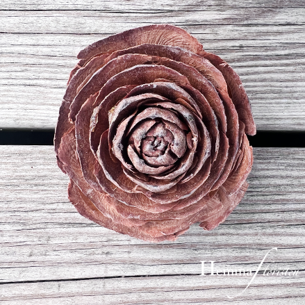 Torkat Cedar rose på tråd natur 3-pack