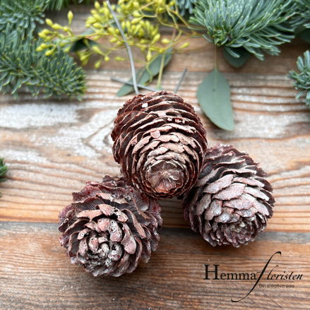 Naturliga Kottar på Pinne – Natur/Vit, 3-pack