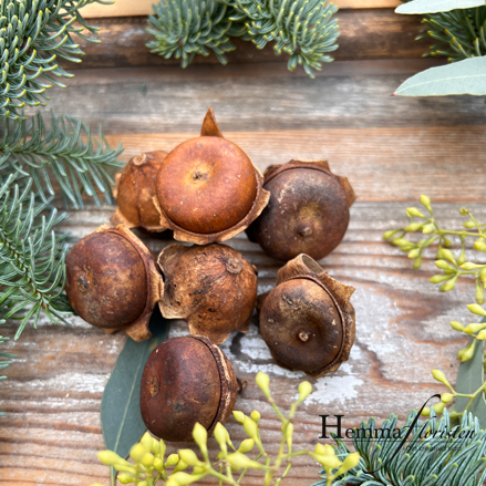 Torkat granatäpple mini 7-pack