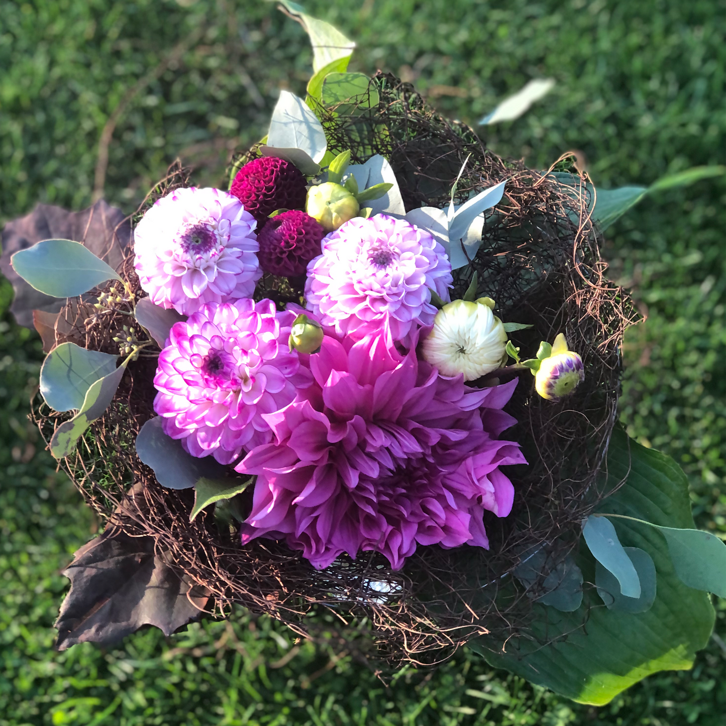 Buketunderlag Muhlenbeckia D.20 cm