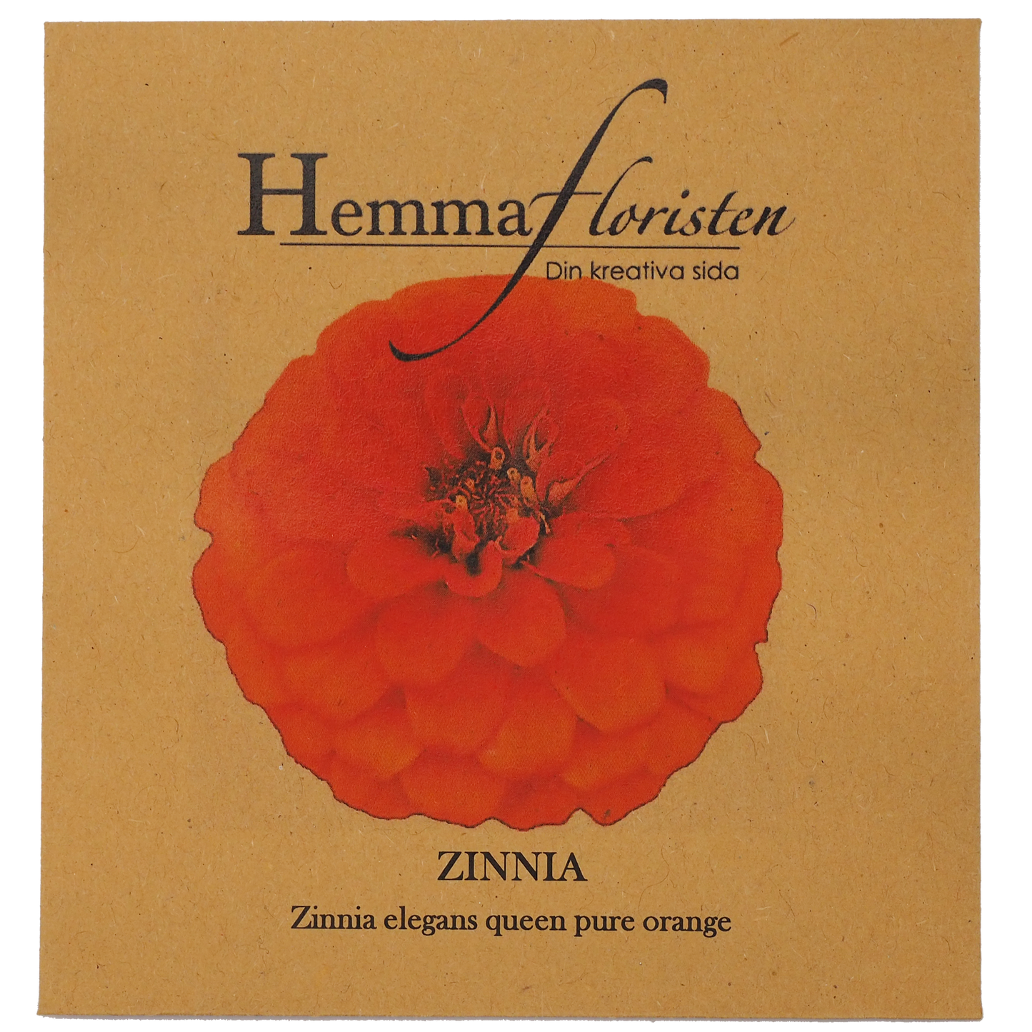 Zinnia - Queen Pure Orange