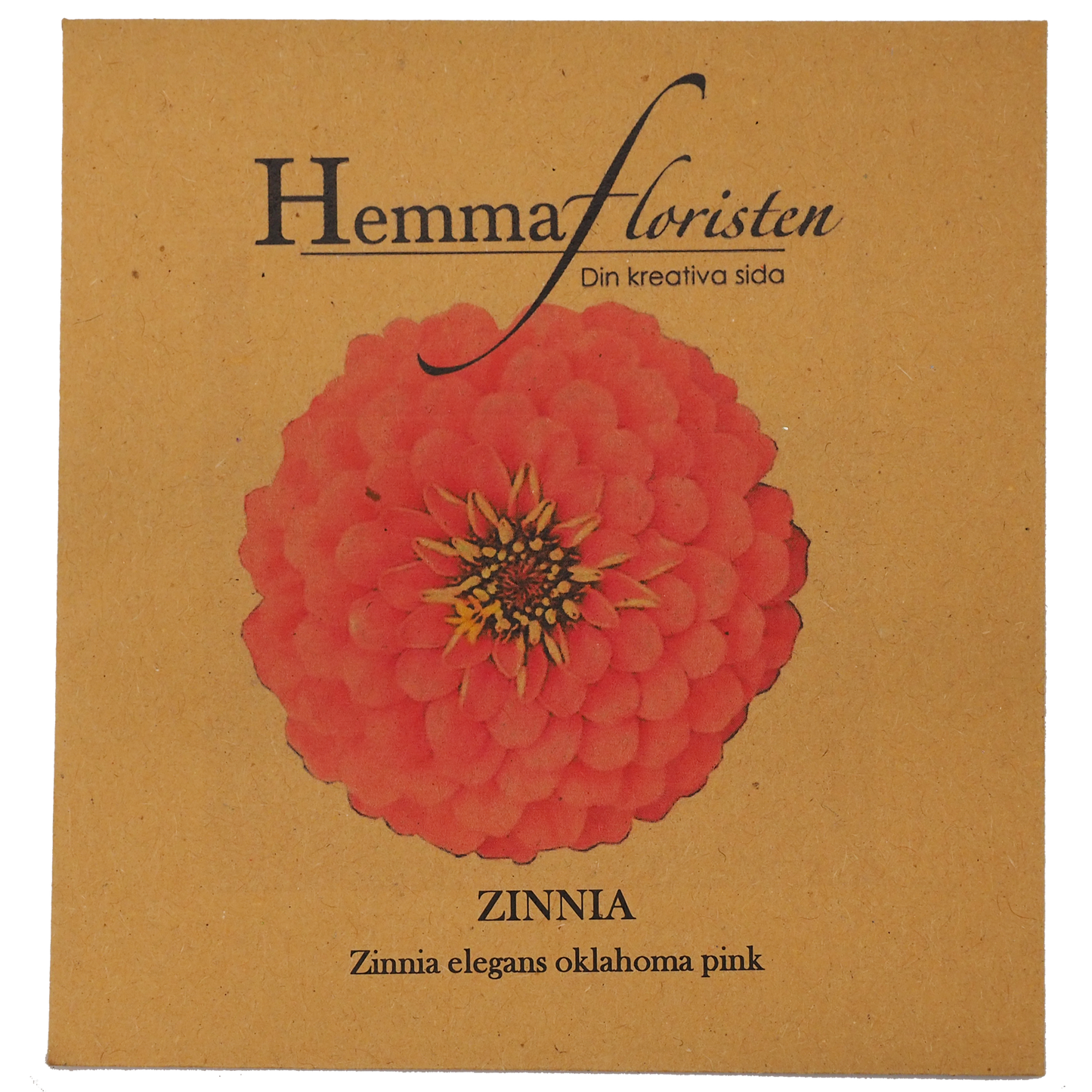 Zinnia - Oklahoma Pink