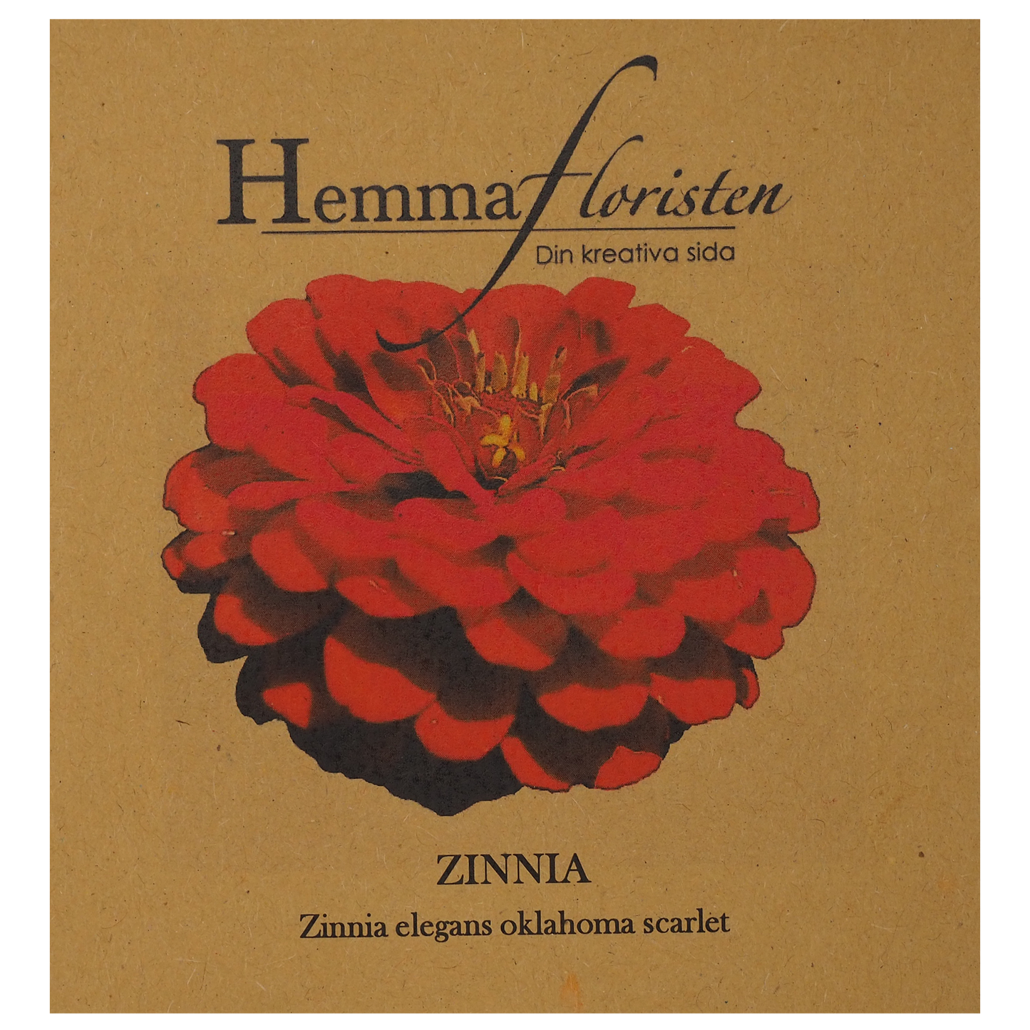 Zinnia - Oklahoma Scarlet