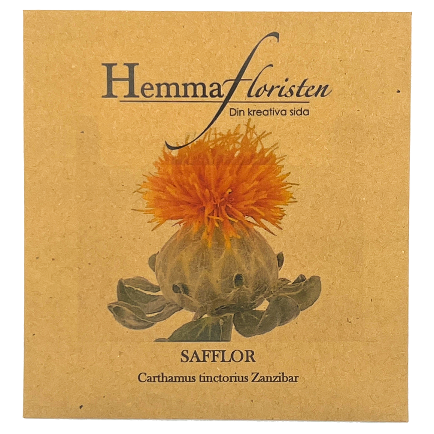 Safflor - Carthamus tinctorius Zanzibar