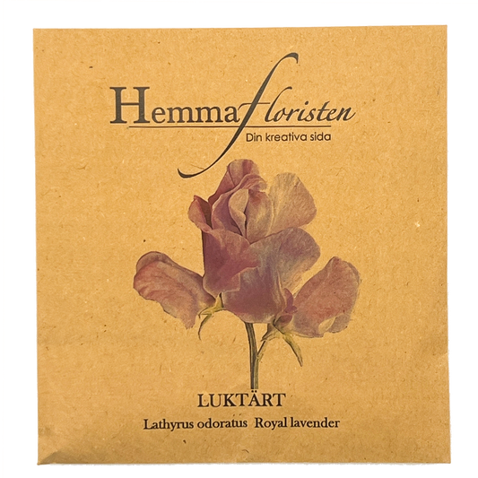 Luktärt - Royal Lavender