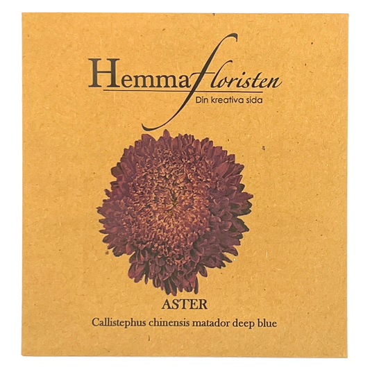 Aster - Callistephus chinensis Matador Deep Blue