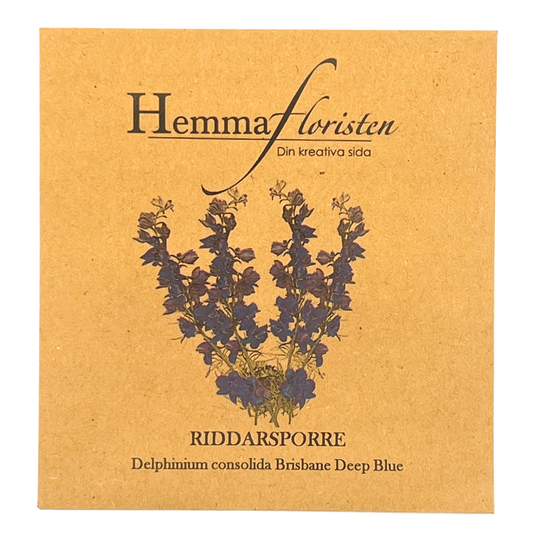 Riddarsporre - Delphinium Brisbane deep Blue