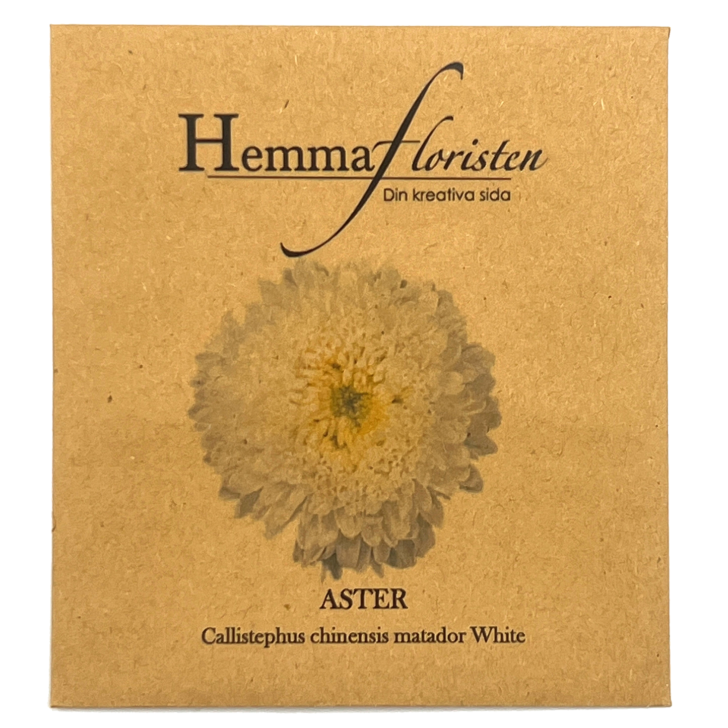 Aster - Callistephus chinensis Matador white