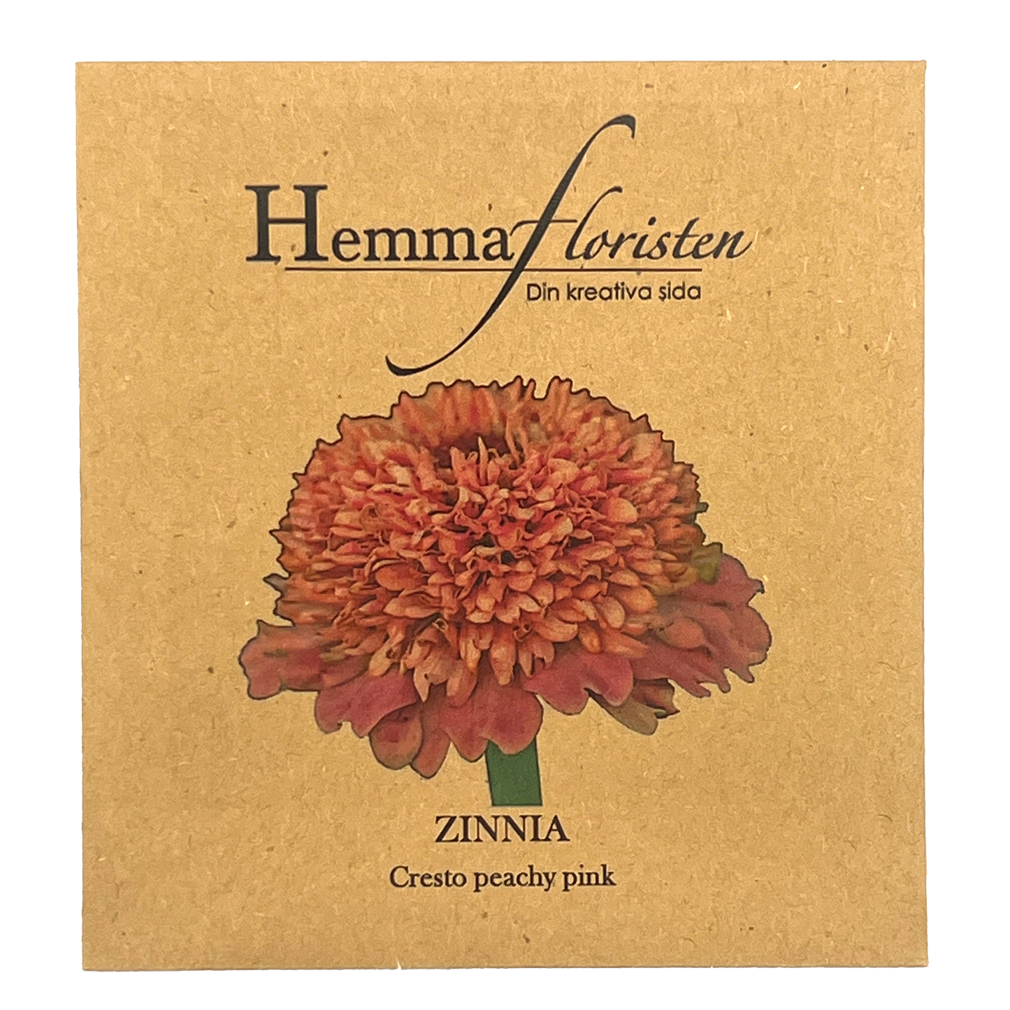 Zinnia - Cresto peachy pink
