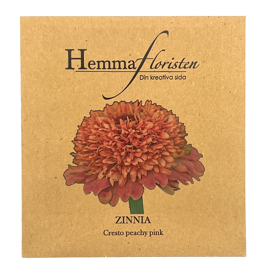 Zinnia - Cresto peachy pink