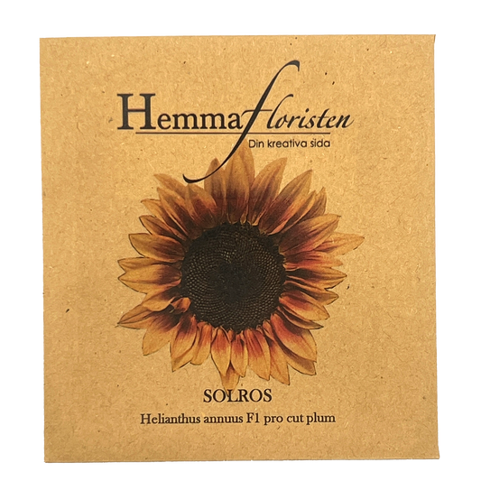 Solros - F1 Pro cut plum