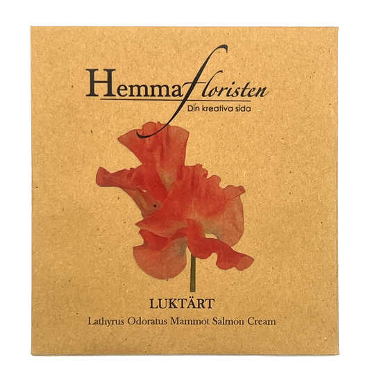 Luktärt - Salmon Cream