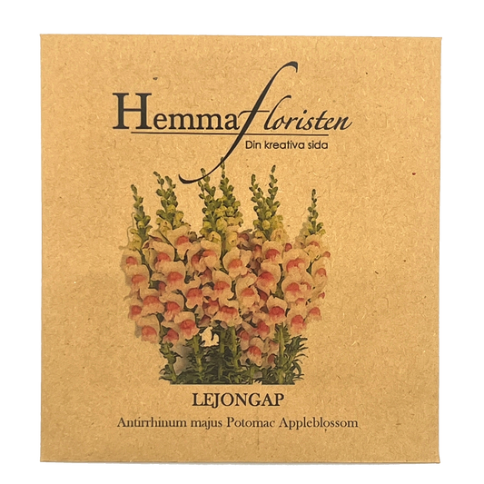 Lejongap - Potomac Appleblossom