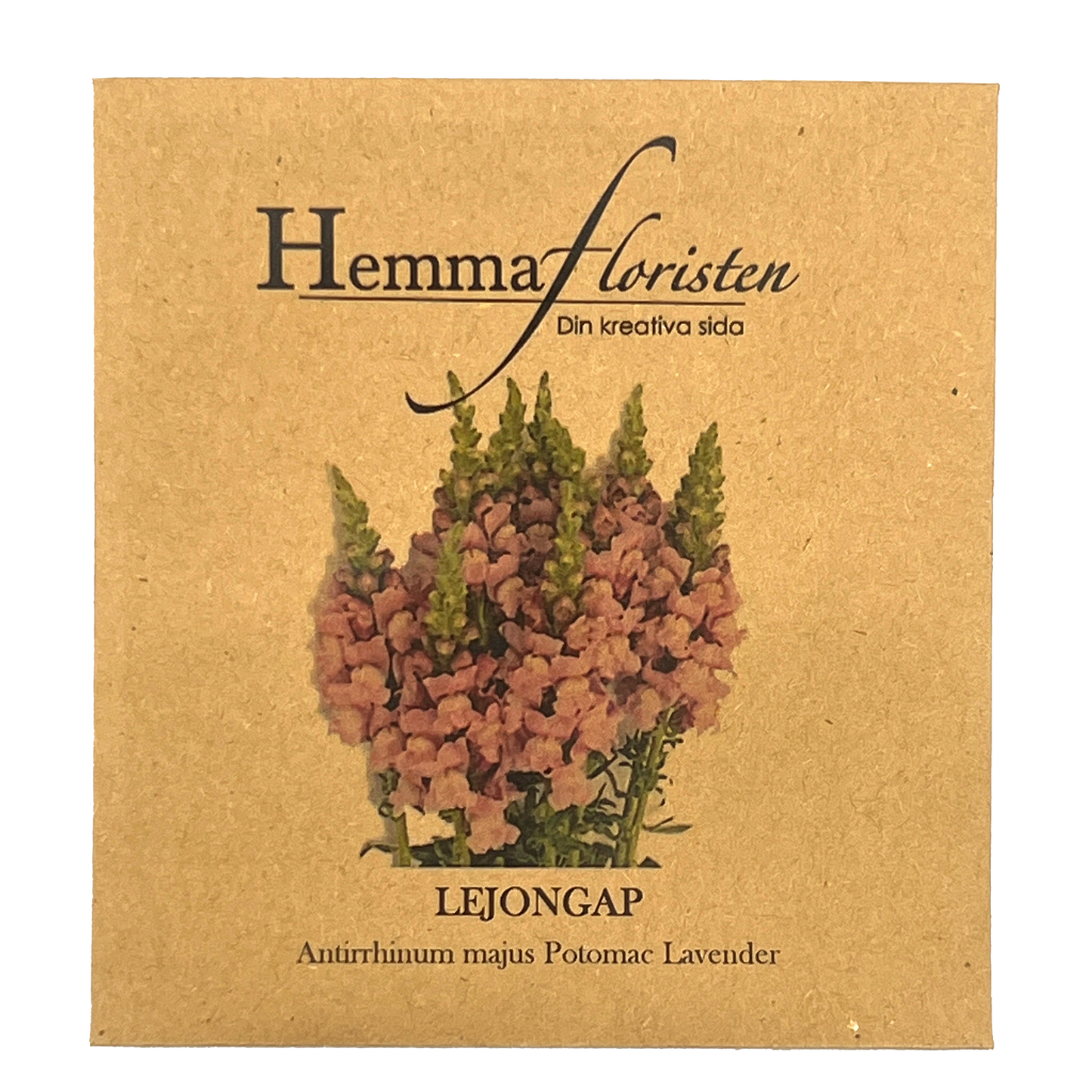 Lejongap - Potomac Lavender