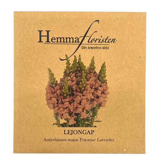 Lejongap - Potomac Lavender