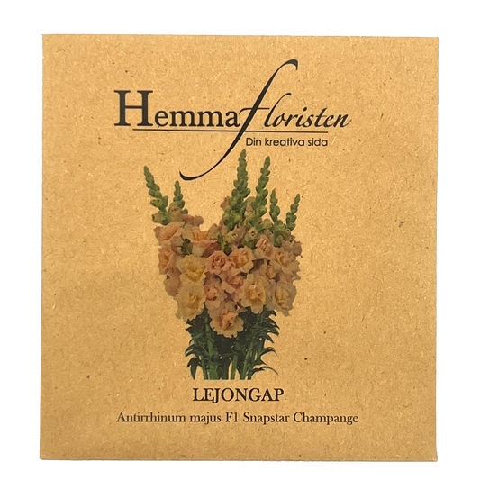 Lejongap - F1 Snapstar Champagne