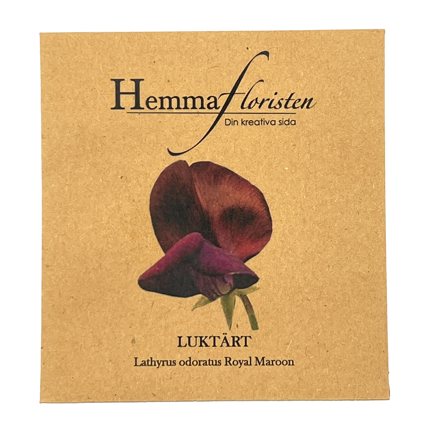 Luktärt -  Royal Maroon