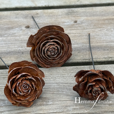 Torkat Cedar rose på tråd natur 3-pack