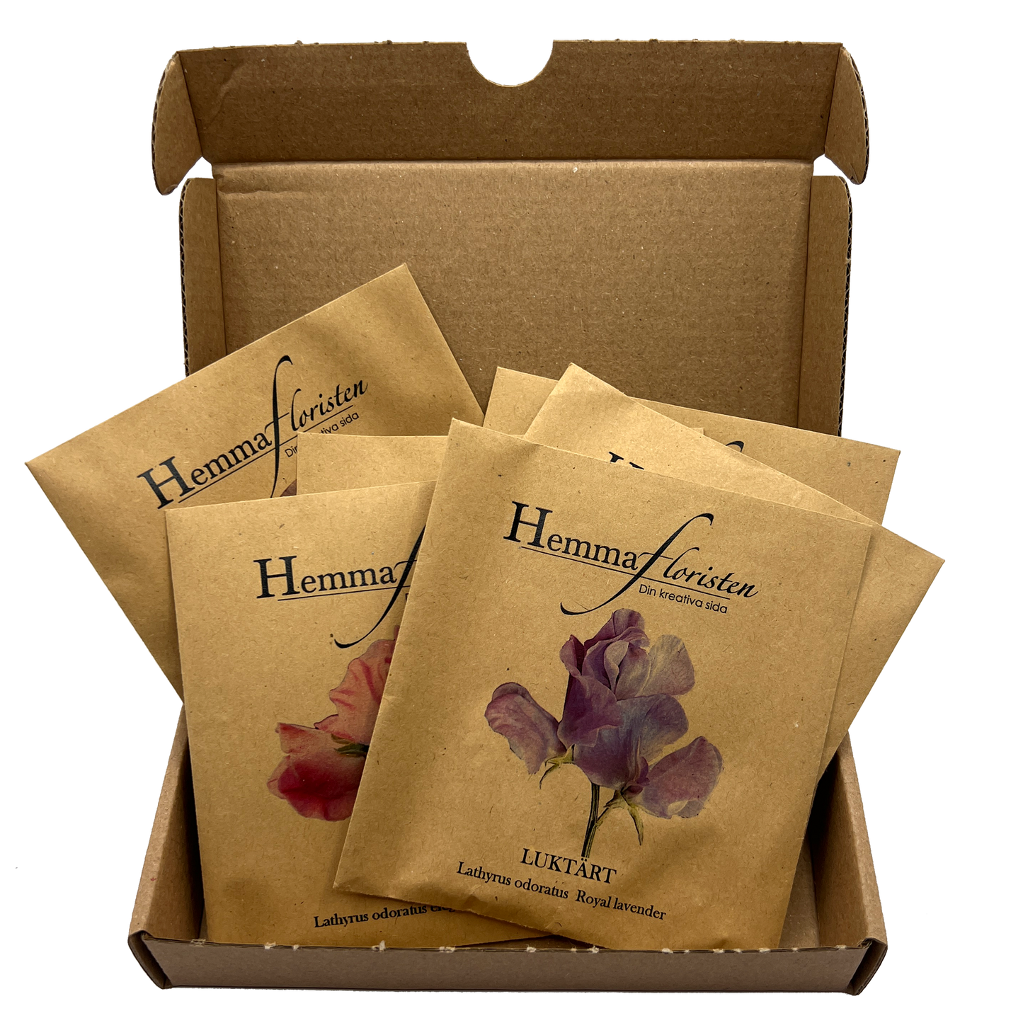 Fröbox Doftande luktärt