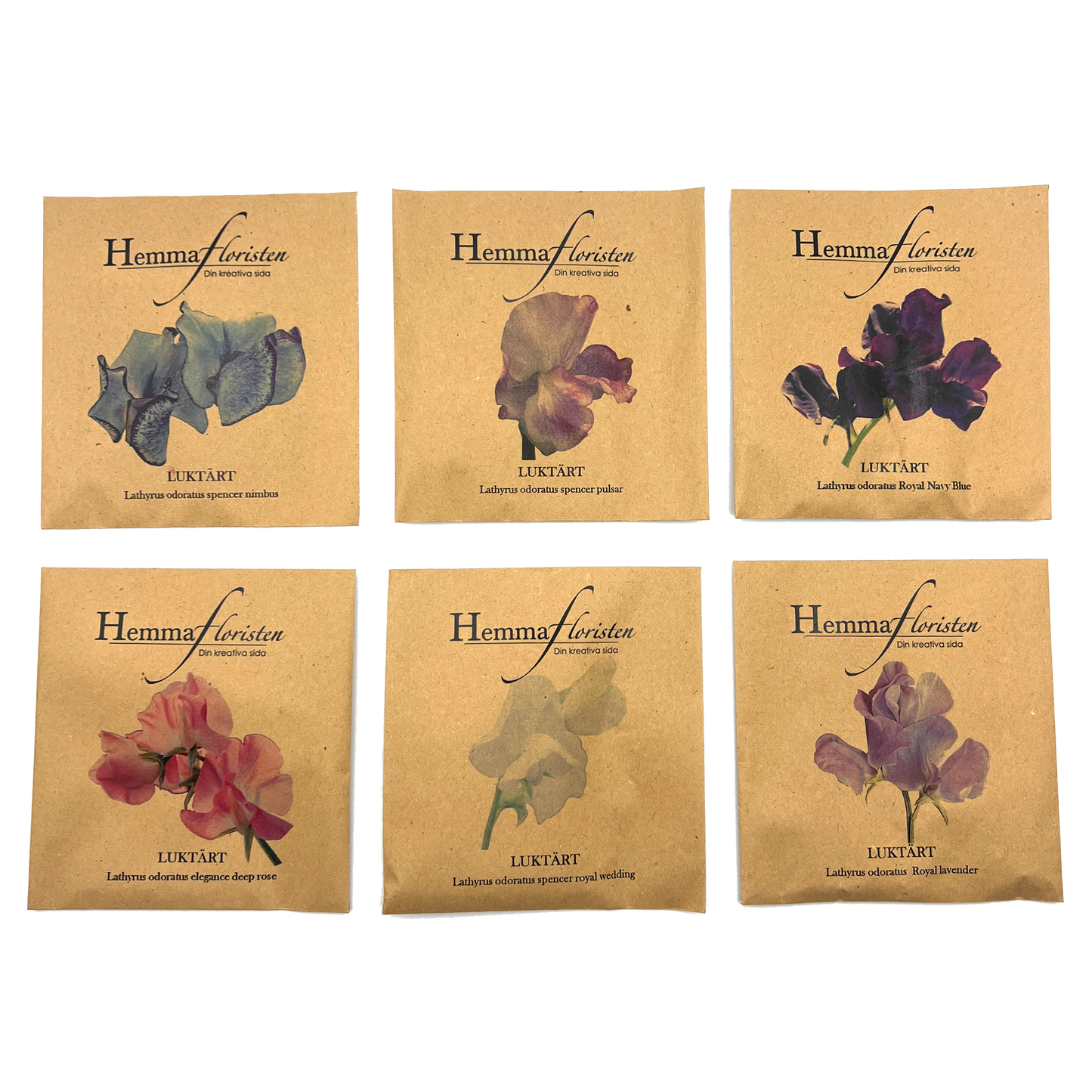 Fröbox Doftande luktärt