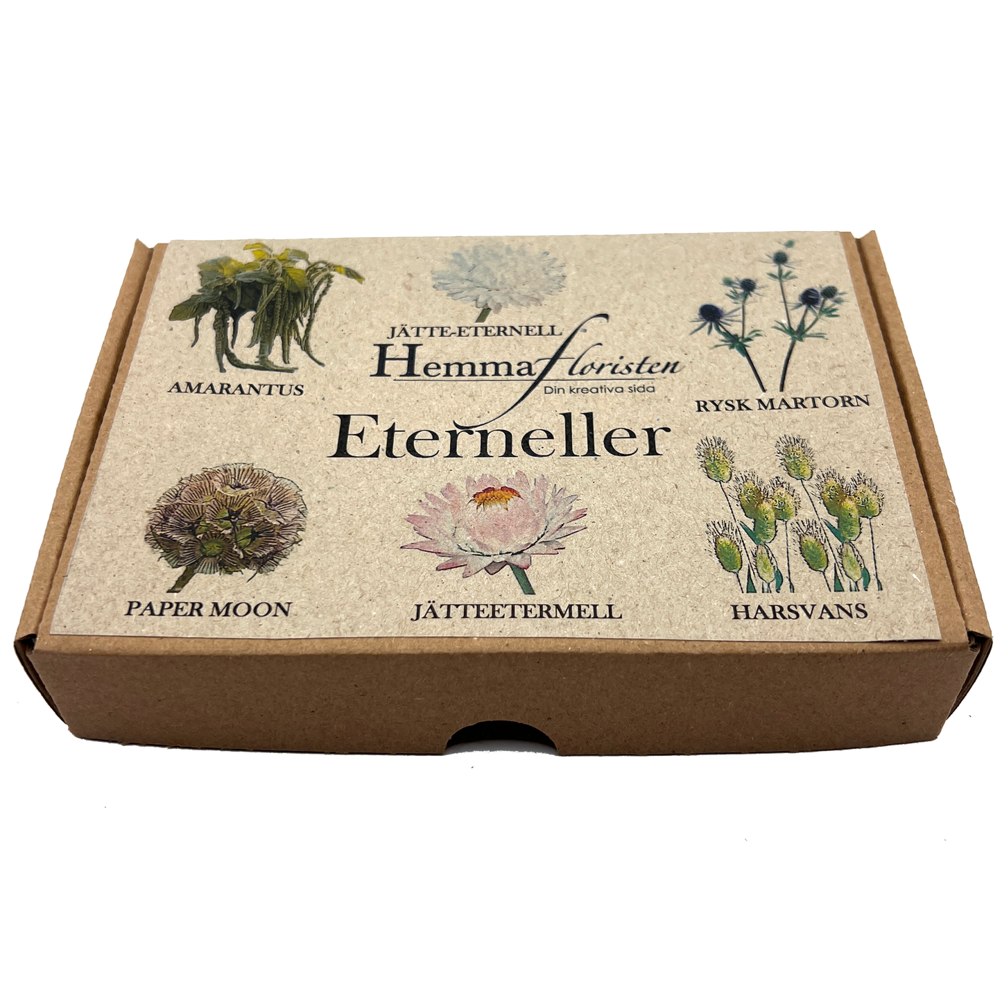 Fröbox Eterneller – Hemmafloristen.se