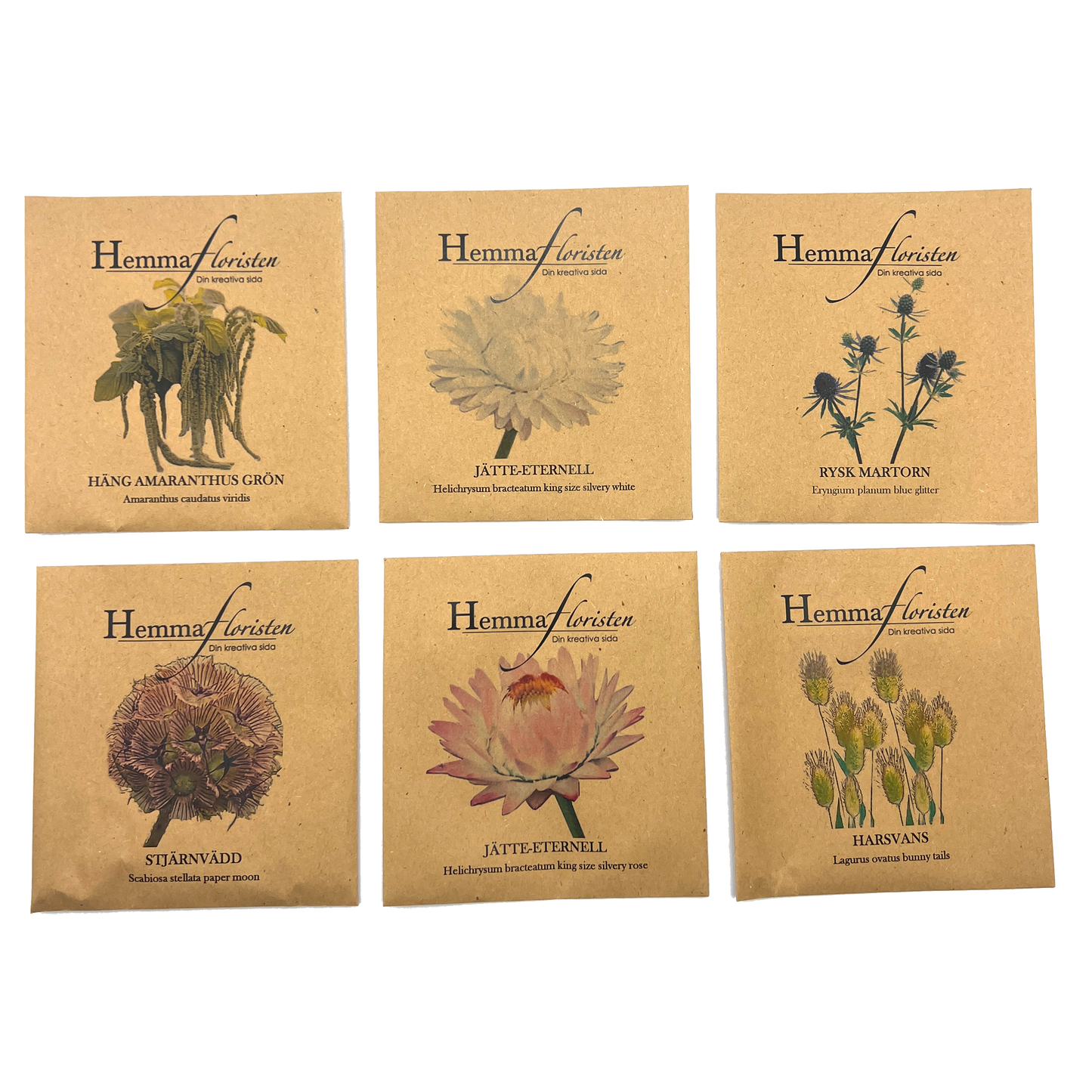 Fröbox Eterneller – Hemmafloristen.se