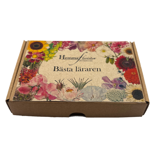 Fröbox Bästa läraren