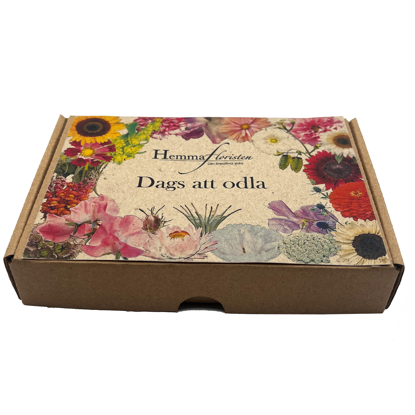 Fröbox Dags att odla