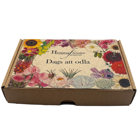 Fröbox Dags att odla