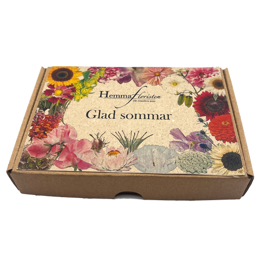 Fröbox Glad sommar