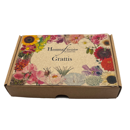 Fröbox Grattis