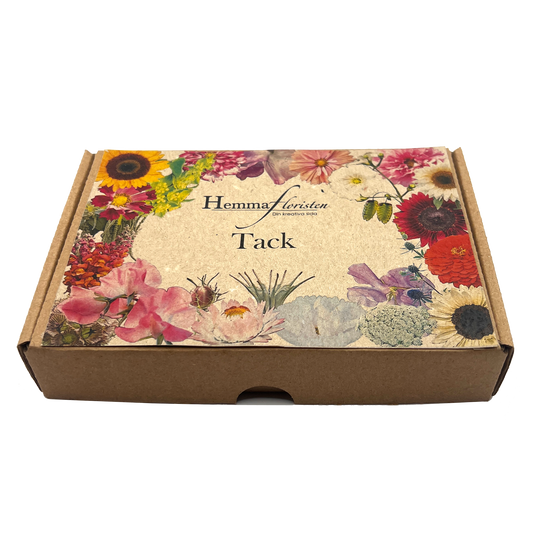 Fröbox Tack