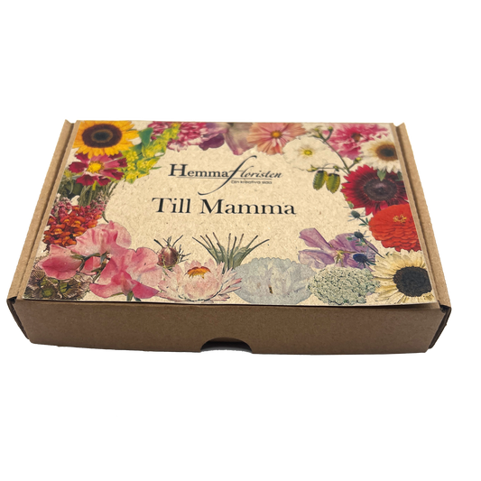 Fröbox Till Mamma