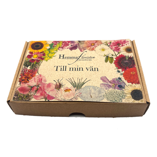 Fröbox Till min vän