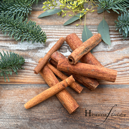 Kanelstång ca. 8 cm, 10 pack