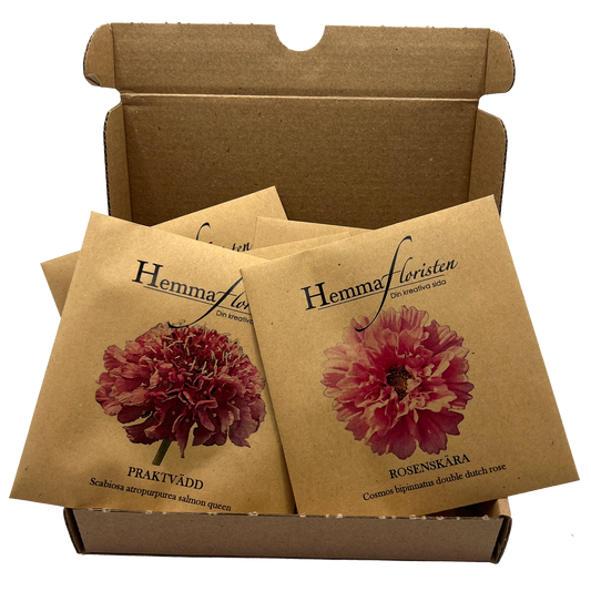 Fröbox Ljuvligt rosa